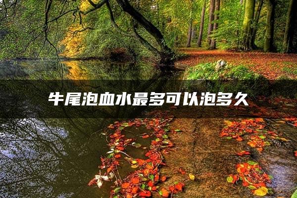 牛尾泡血水最多可以泡多久