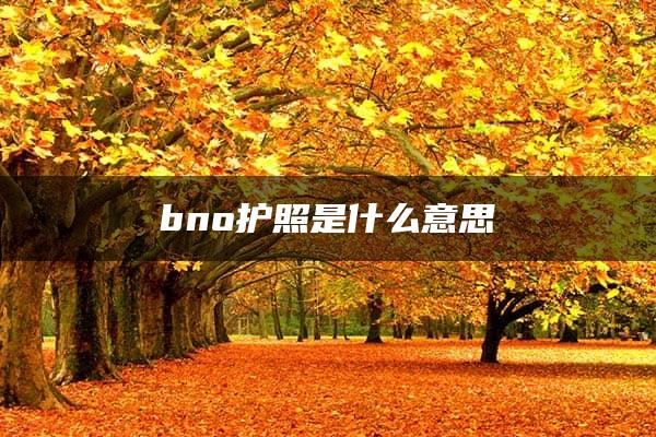 bno护照是什么意思