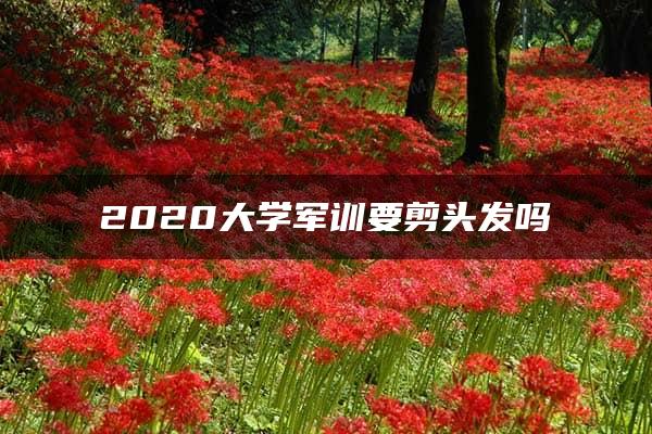 2020大学军训要剪头发吗