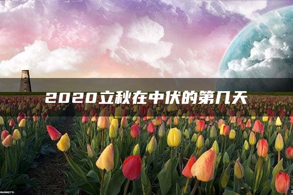 2020立秋在中伏的第几天