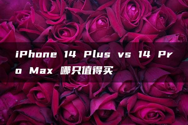 iPhone 14 Plus vs 14 Pro Max 哪只值得买