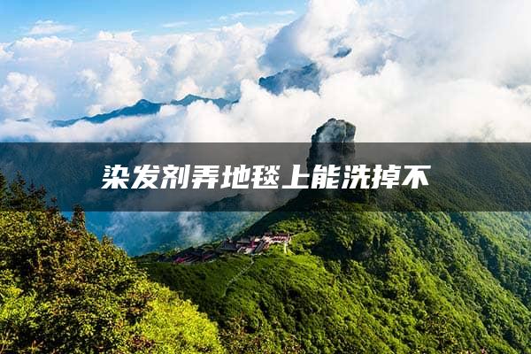 染发剂弄地毯上能洗掉不