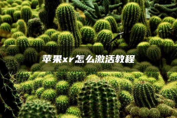 苹果xr怎么激活教程