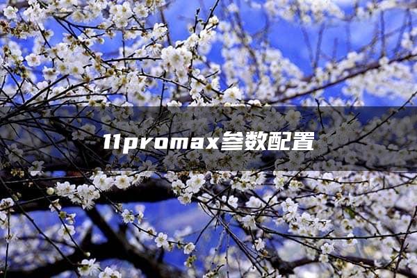 11promax参数配置