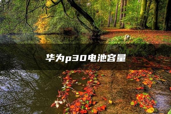 华为p30电池容量