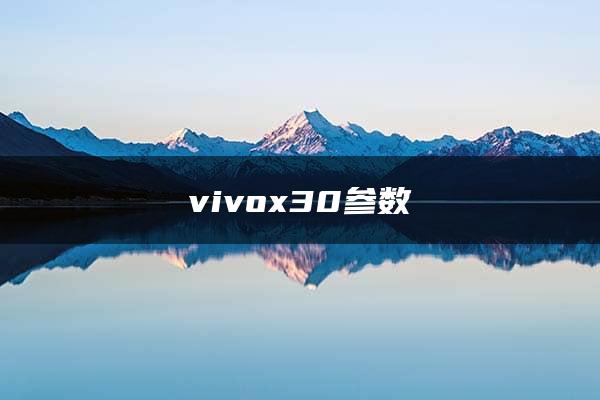 vivox30参数