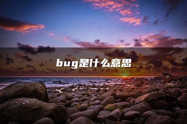 bug是什么意思