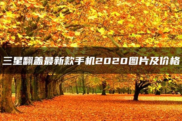 三星翻盖最新款手机2020图片及价格