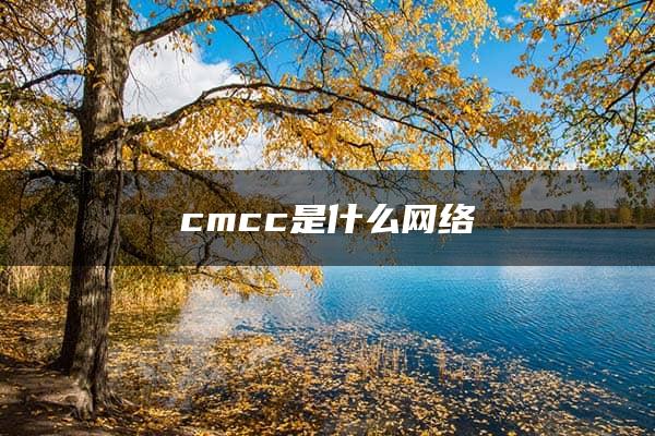 cmcc是什么网络