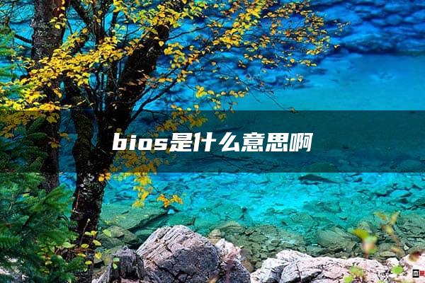 bios是什么意思啊