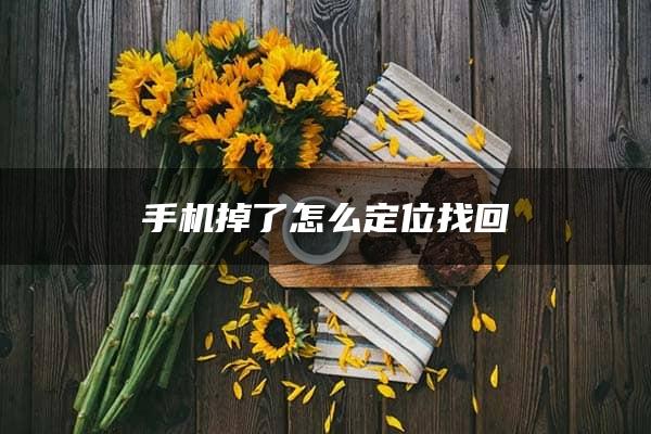 手机掉了怎么定位找回