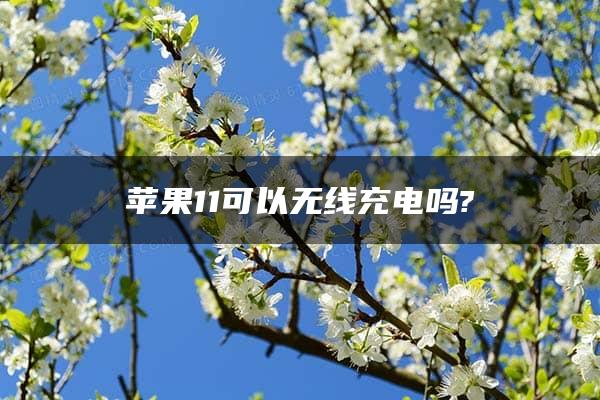 苹果11可以无线充电吗?