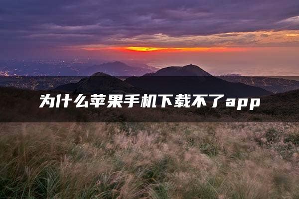 为什么苹果手机下载不了app