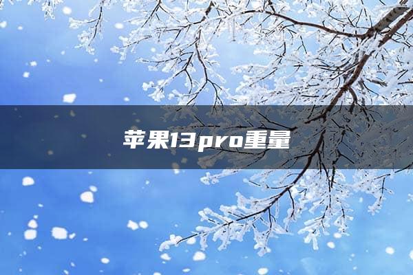 苹果13pro重量