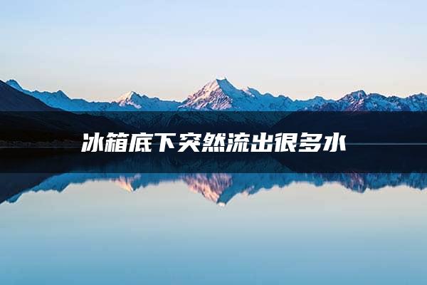 冰箱底下突然流出很多水