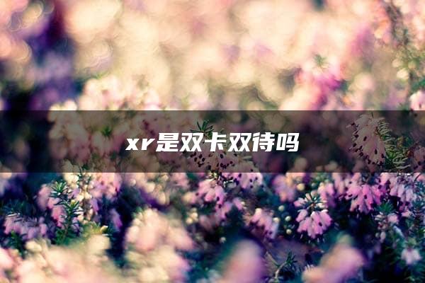 xr是双卡双待吗