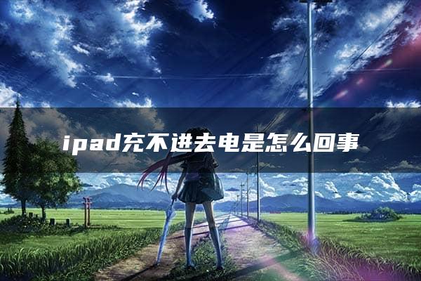 ipad充不进去电是怎么回事