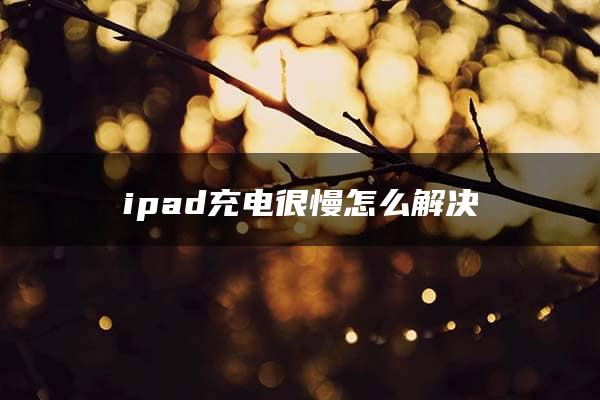 ipad充电很慢怎么解决