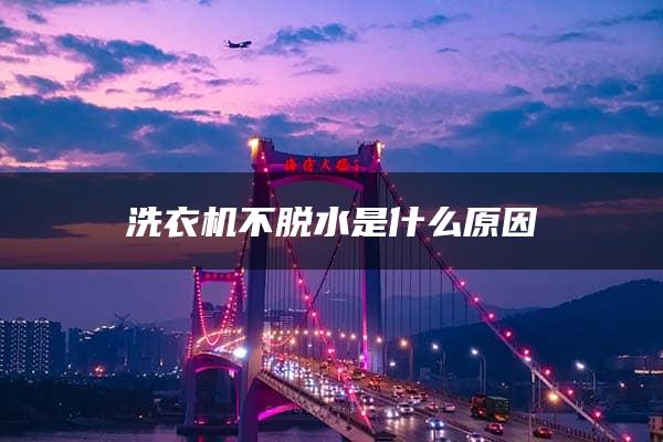 洗衣机不脱水是什么原因