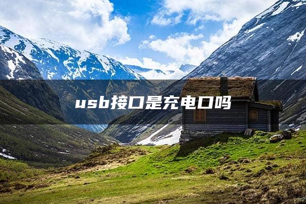 usb接口是充电口吗