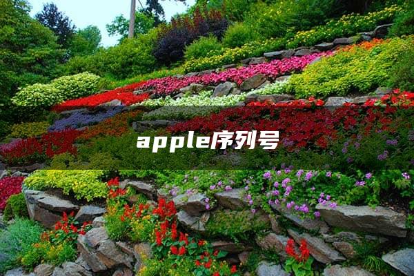 apple序列号