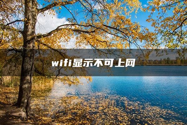 wifi显示不可上网