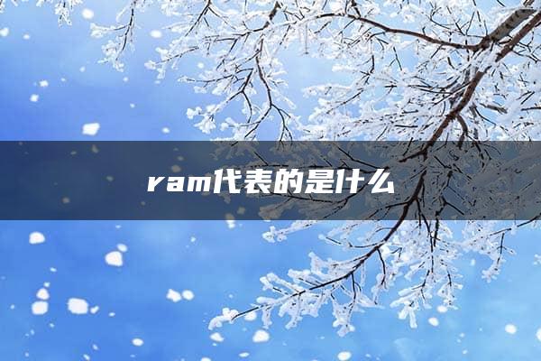 ram代表的是什么