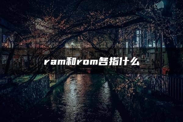 ram和rom各指什么