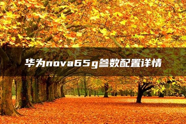 华为nova65g参数配置详情