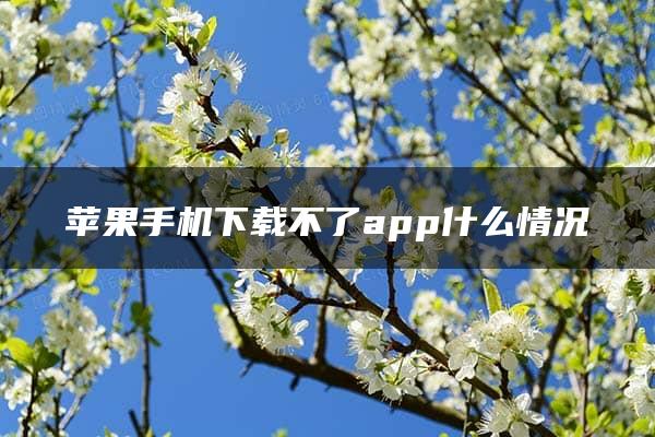 苹果手机下载不了app什么情况