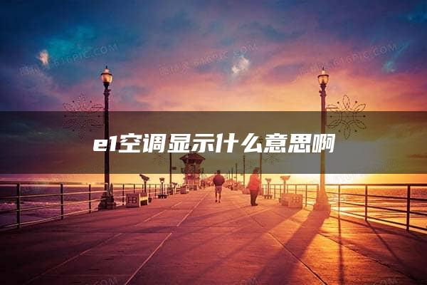 e1空调显示什么意思啊