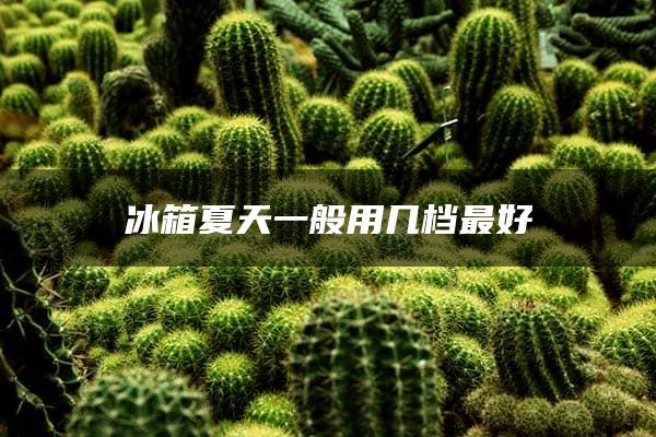 冰箱夏天一般用几档最好