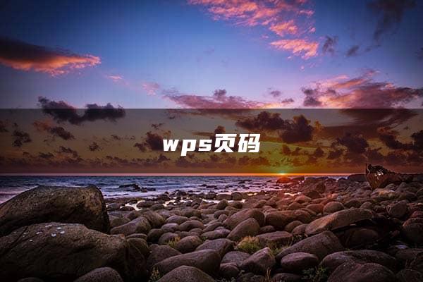 wps页码