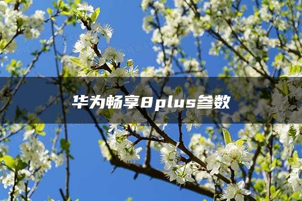 华为畅享8plus参数