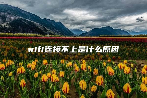 wifi连接不上是什么原因