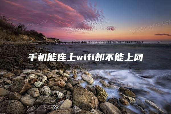 手机能连上wifi却不能上网