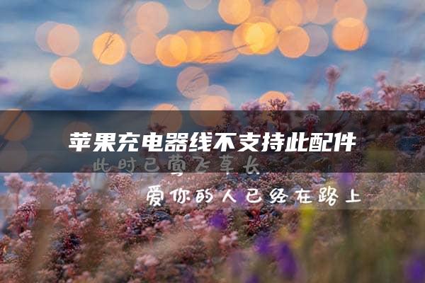 苹果充电器线不支持此配件