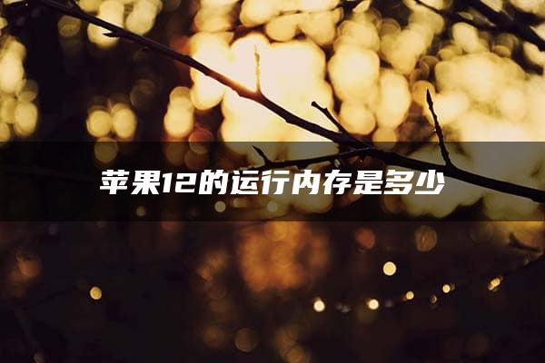 苹果12的运行内存是多少