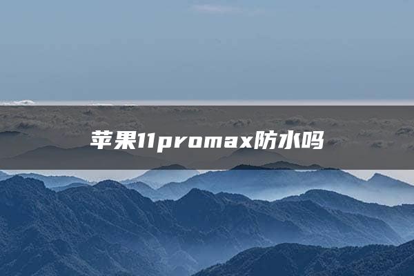 苹果11promax防水吗