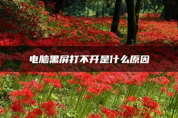 电脑黑屏打不开是什么原因