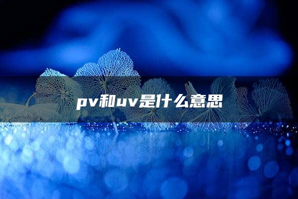 pv和uv是什么意思