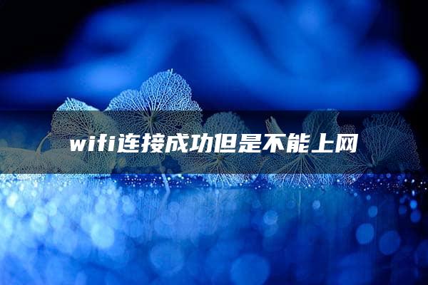 wifi连接成功但是不能上网