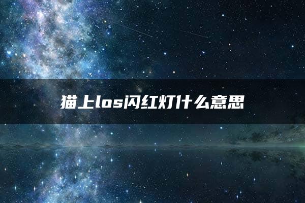 猫上los闪红灯什么意思