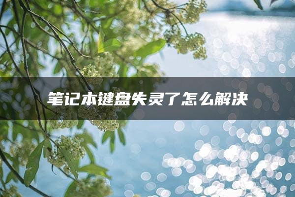 笔记本键盘失灵了怎么解决