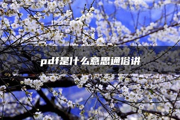 pdf是什么意思通俗讲