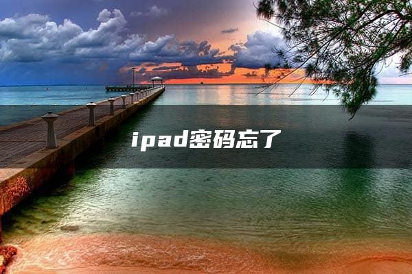 ipad密码忘了