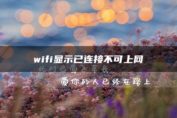 wifi显示已连接不可上网