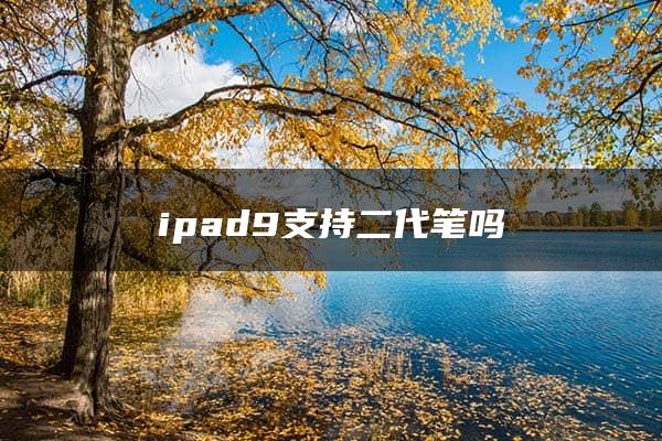 ipad9支持二代笔吗