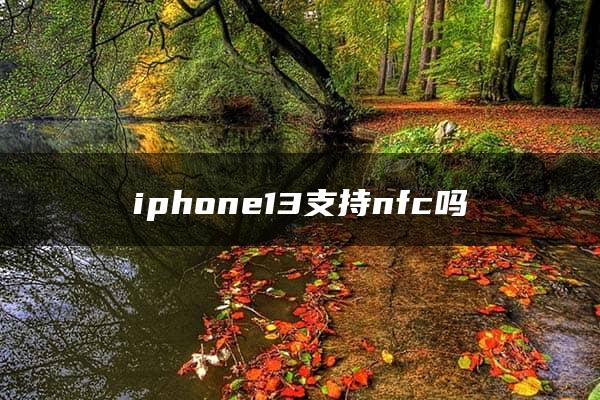 iphone13支持nfc吗