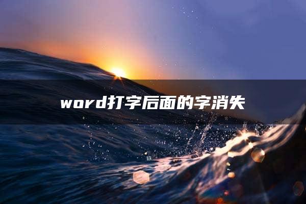 word打字后面的字消失